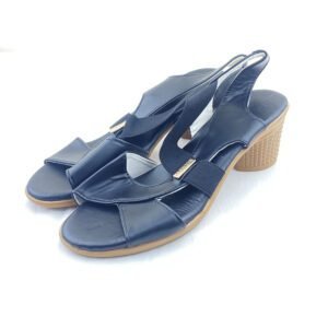 Ladies Shoe