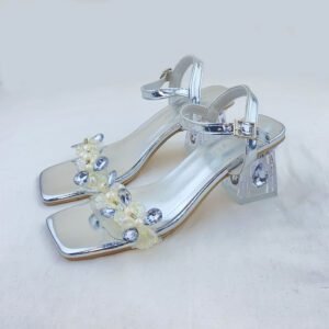 Ladies Shoe
